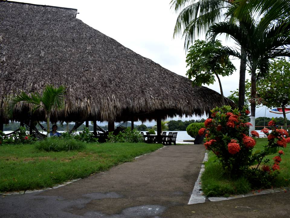 cifar-island